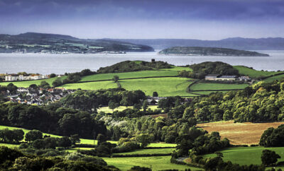 Bryn Euryn Local Nature Reserve