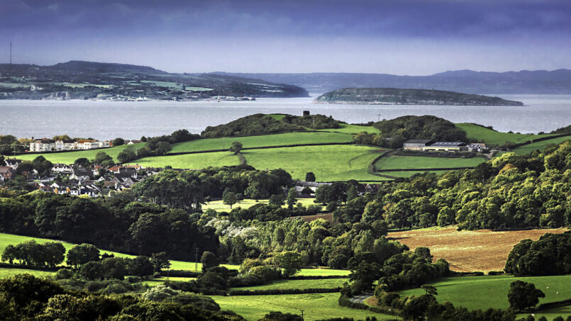 Bryn Euryn Local Nature Reserve